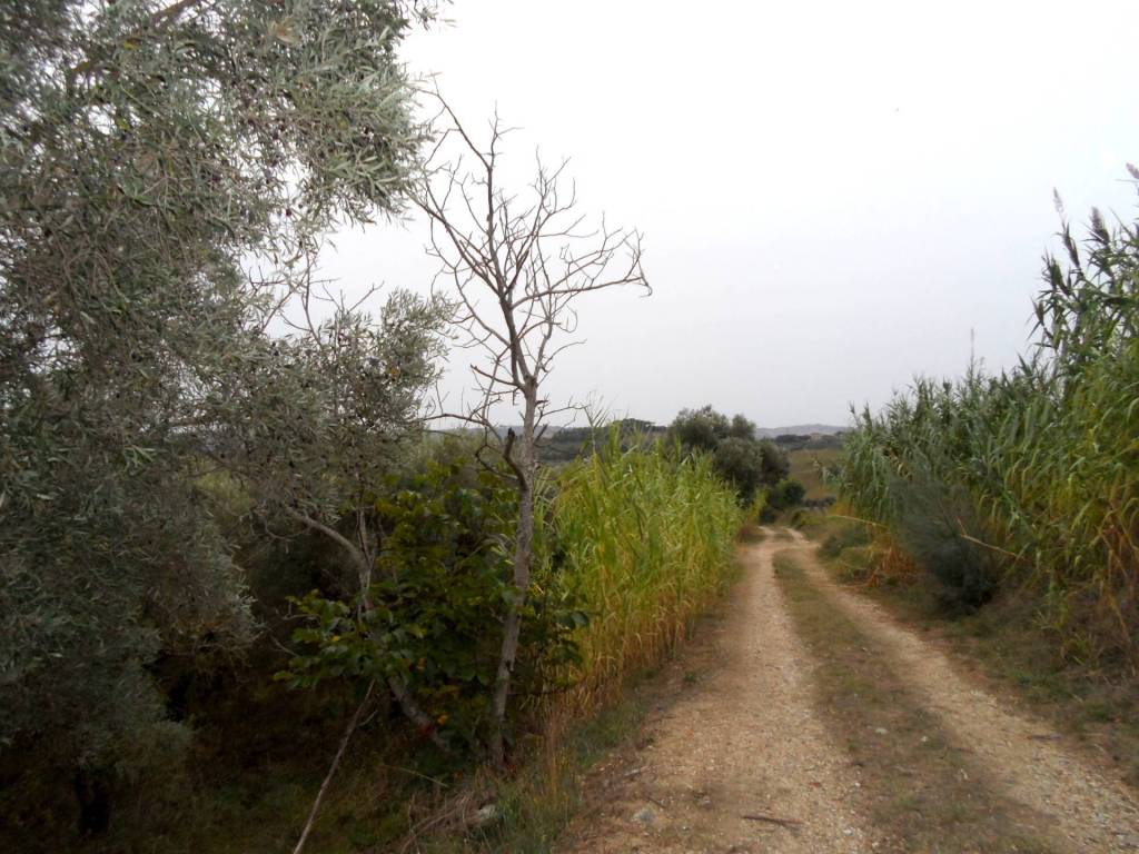 Terreno agricolo via colle appeso, monteprandone