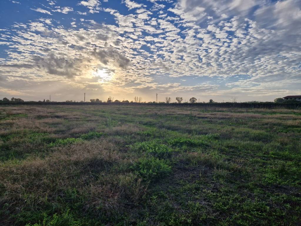 Terreno agricolo via appia, latina scalo, latina