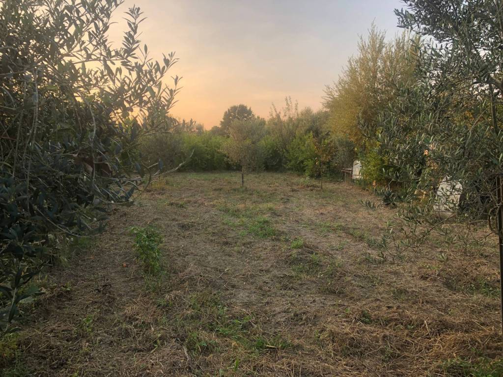 Terreno agricolo via montanelli, san marco, pisa