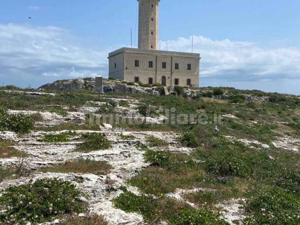 faro di vieste