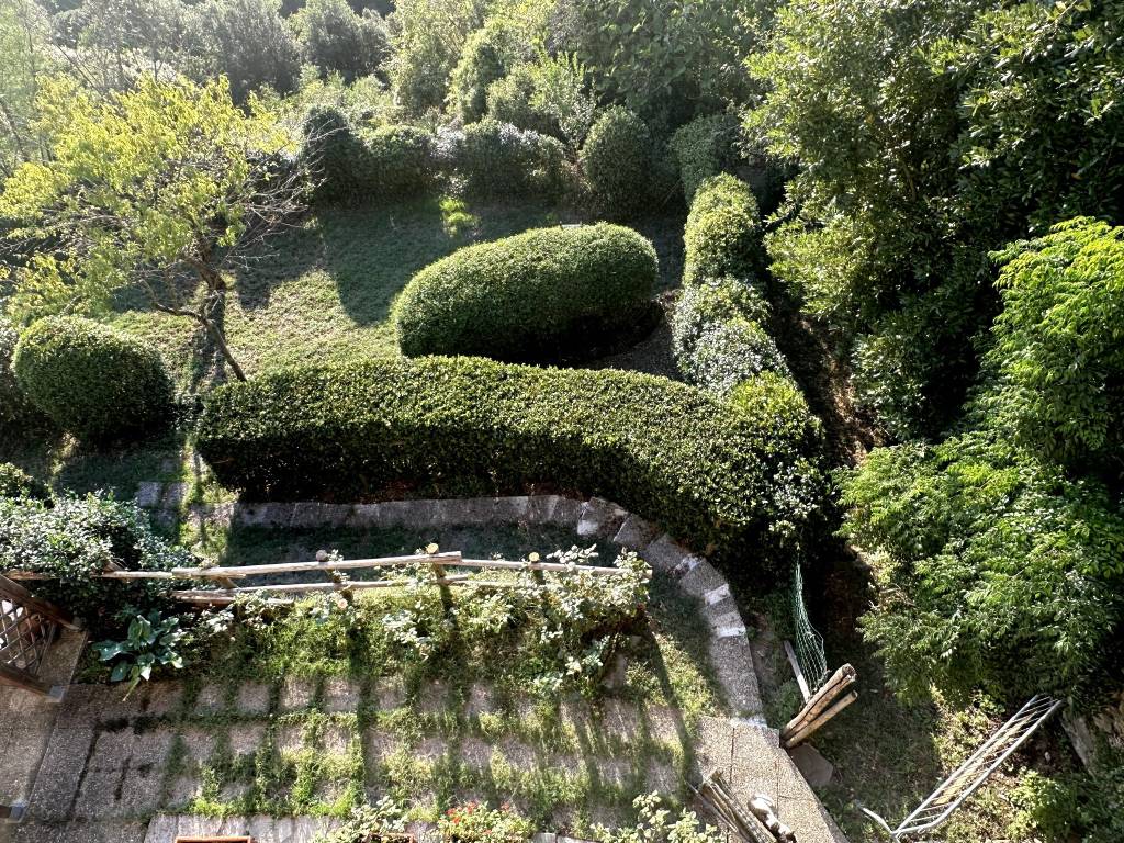 giardino dall'alto