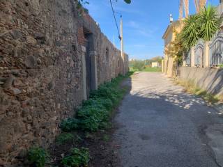 Zona