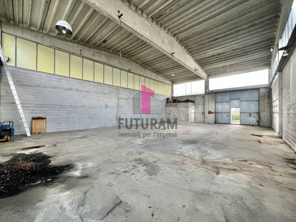 CAPANNONE CON ESTERNO DI PROPRIETA’