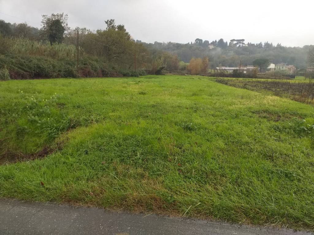 Terreno non edificabile viale europa, segromigno - san colombano, capannori