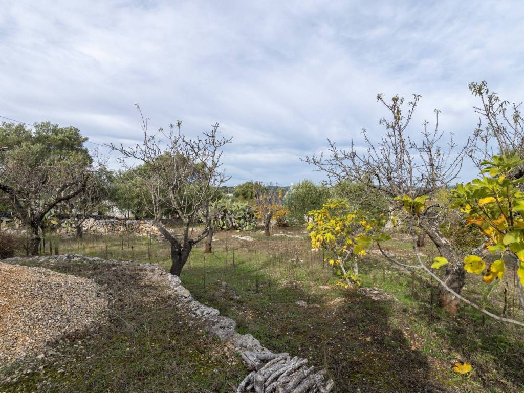 Villa con trullo in campagna