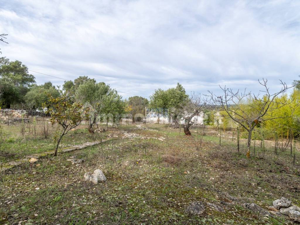 Villa con trullo in campagna