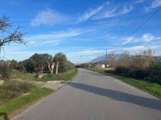 TERRENO ULIVETO DI PERTINENZA