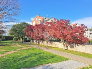 Giardino Condominiale