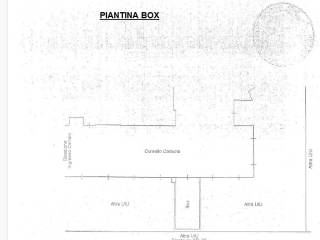 piantina box