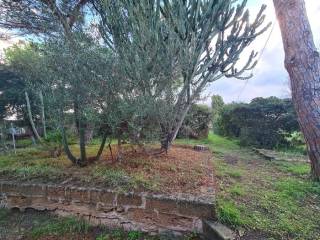 3 Giardino