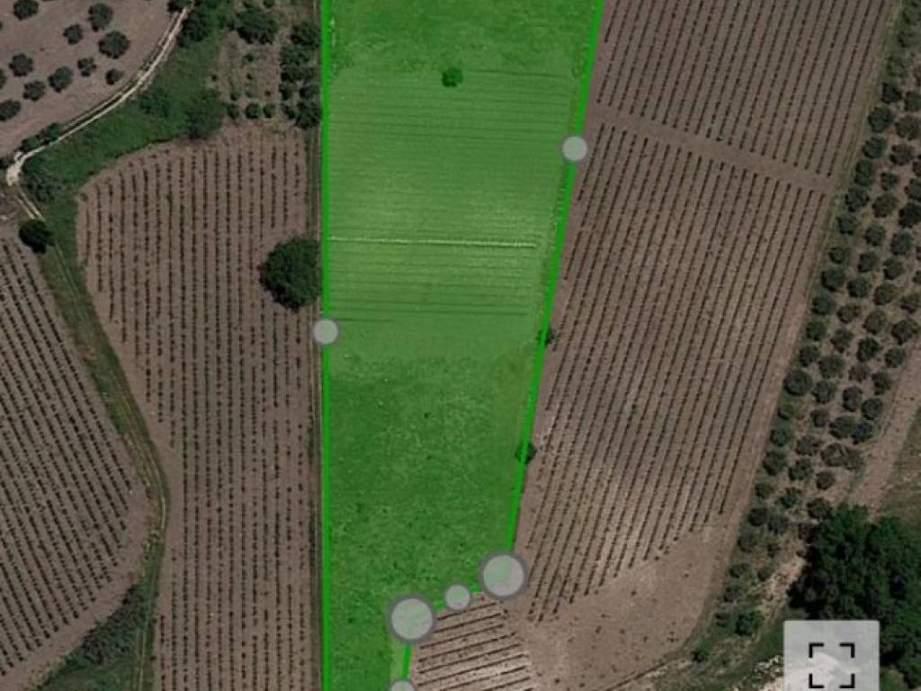 Terreno agricolo contrada san giovanni, sambuca di sicilia