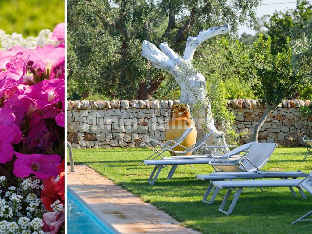 Luxury trulli with pool