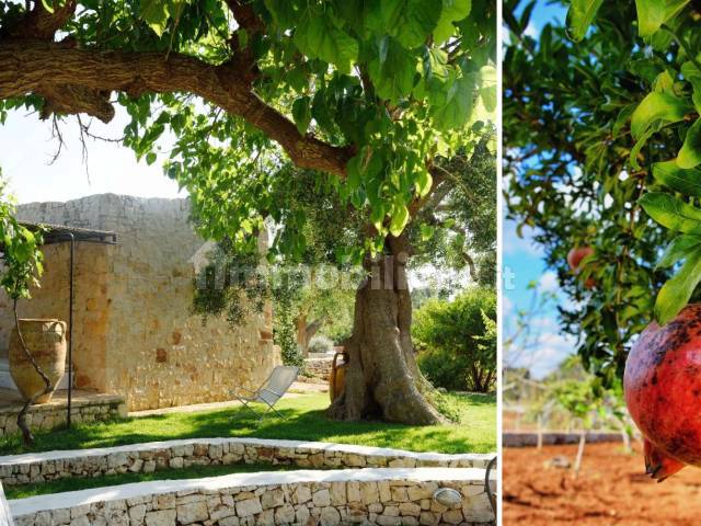 Luxury trulli with pool