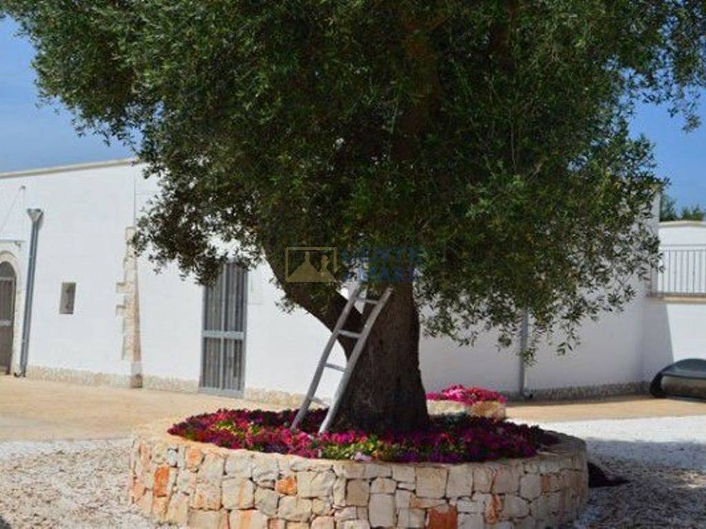 Trullo with swimming pool