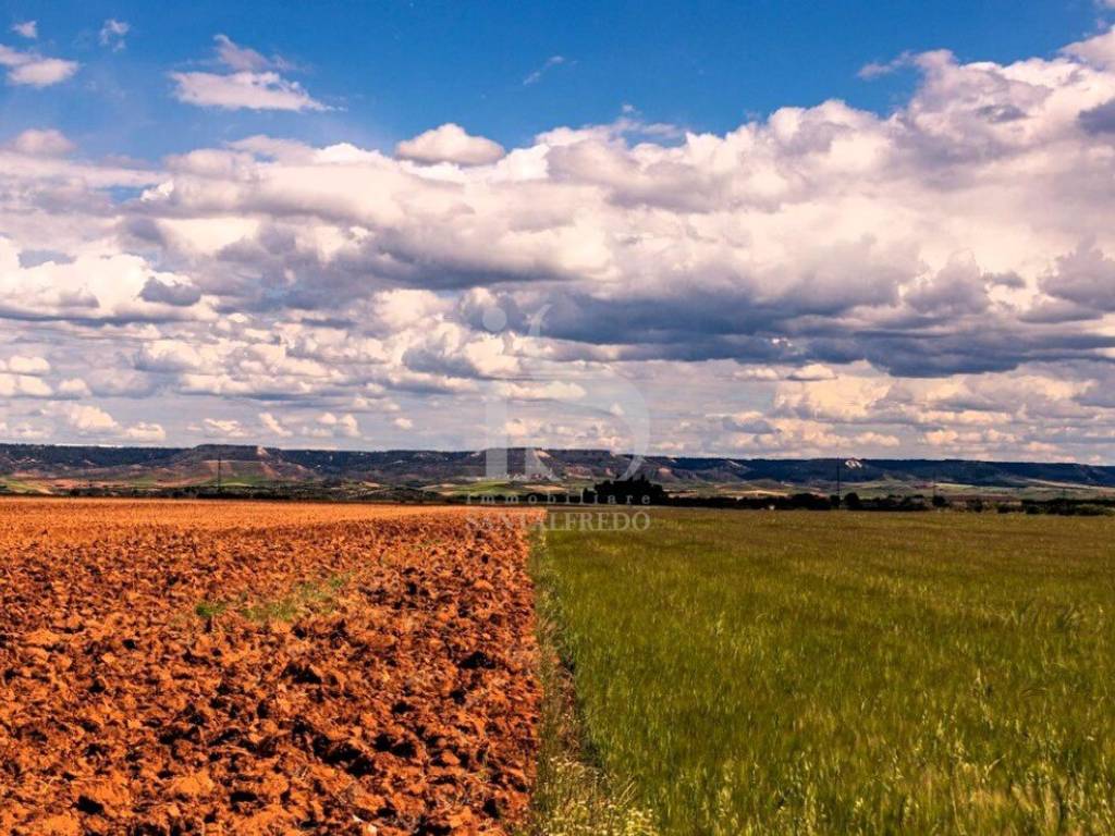 Vendita Terreno Agricolo