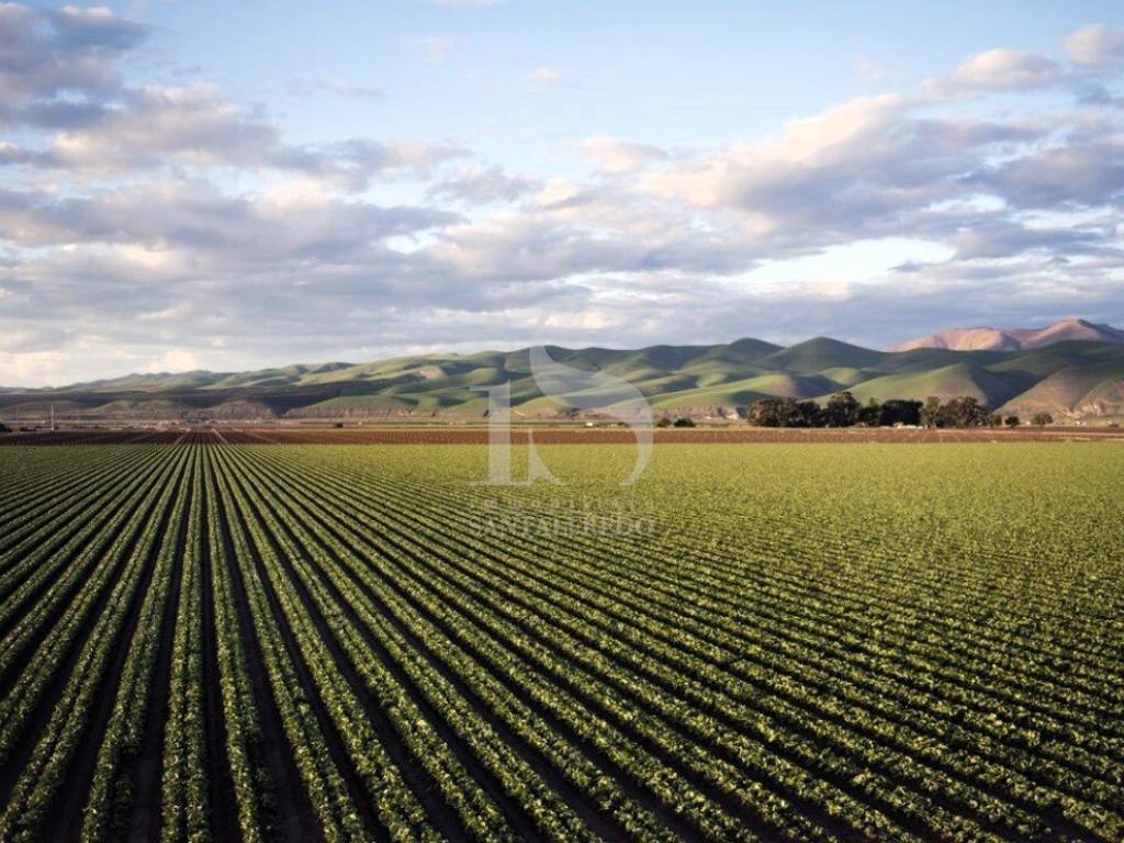 Vendita Terreno Agricolo