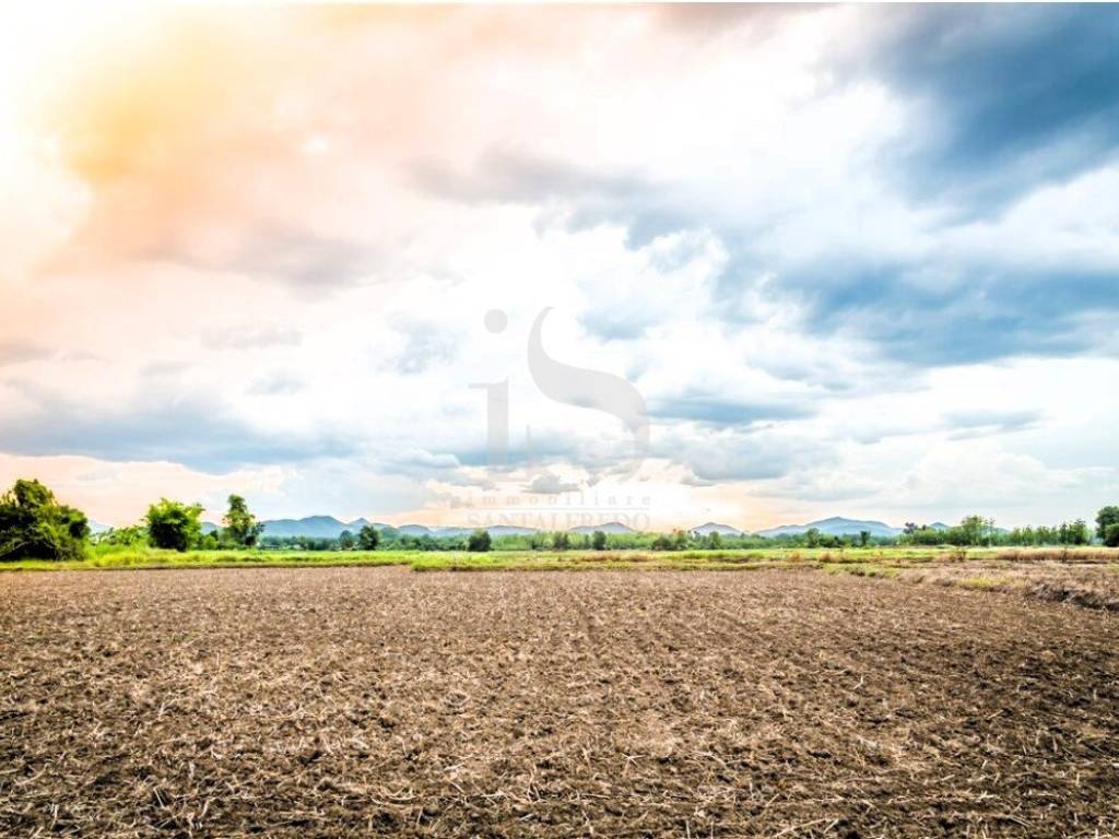 Vendita Terreno Agricolo