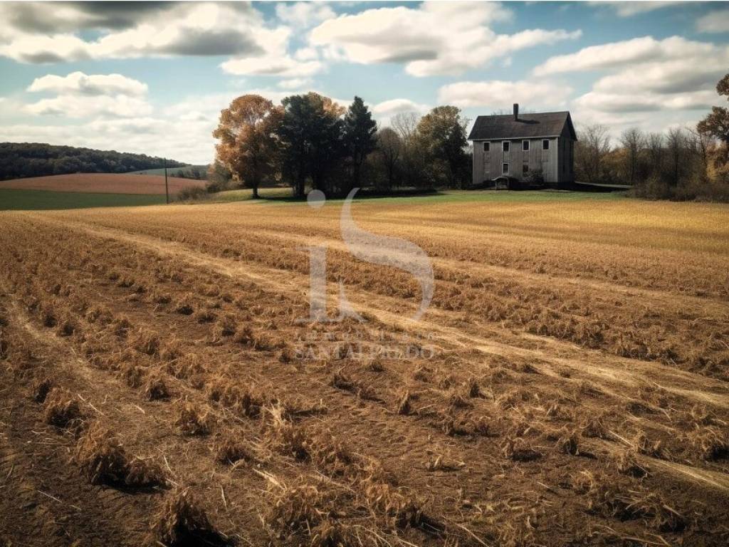 Vendita Terreno Agricolo