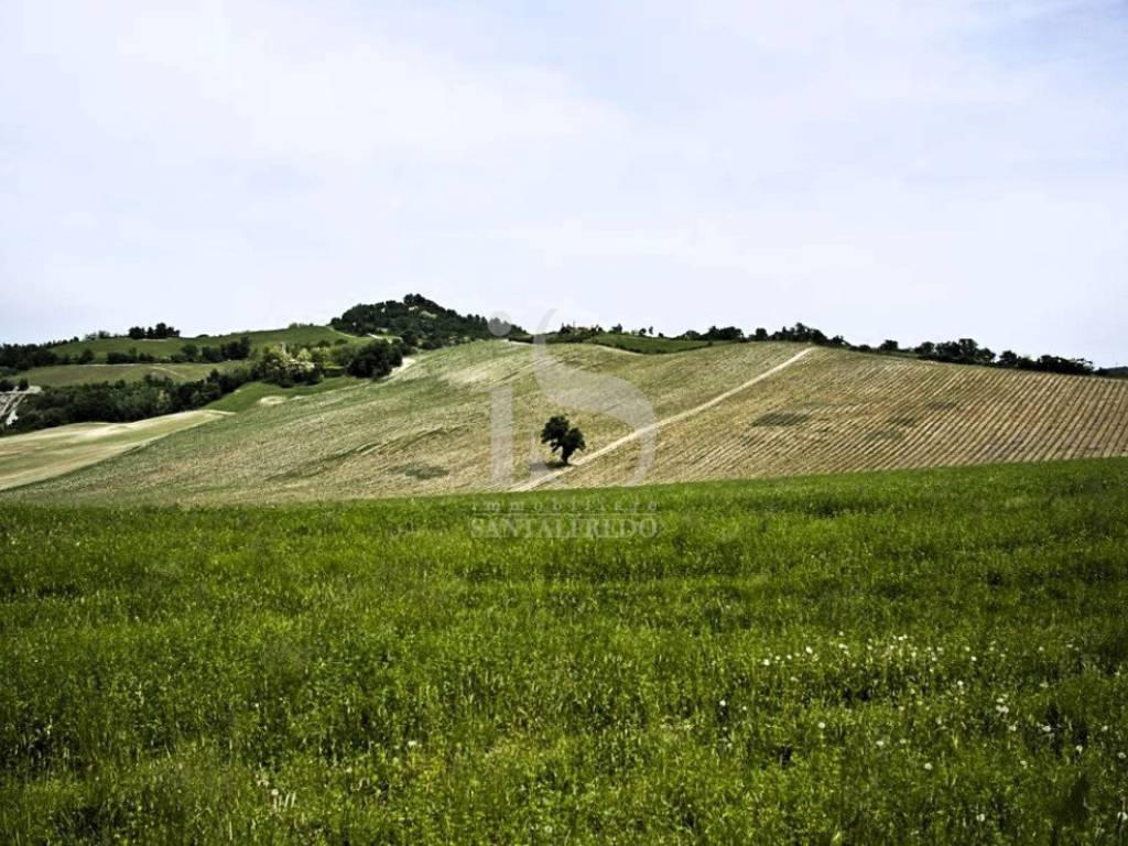 Vendita Terreno Agricolo