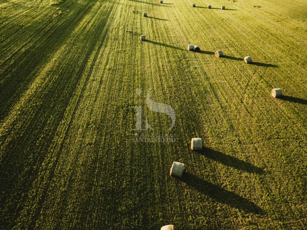 Vendita Terreno Agricolo