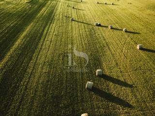 Vendita Terreno Agricolo