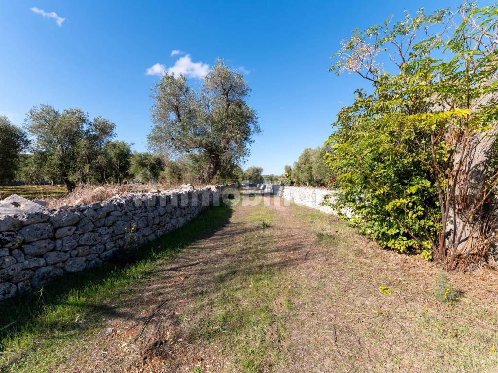 Masseria ad Ostuni