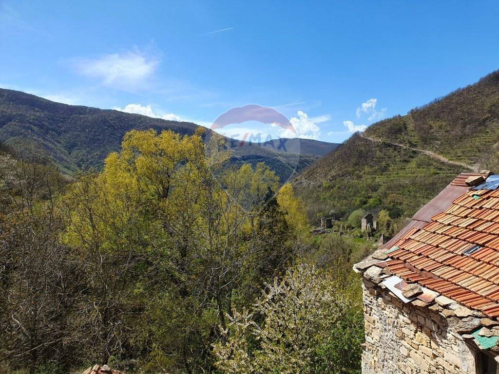 Sale Singlefamily detached house in Località Connio Carrega Ligure