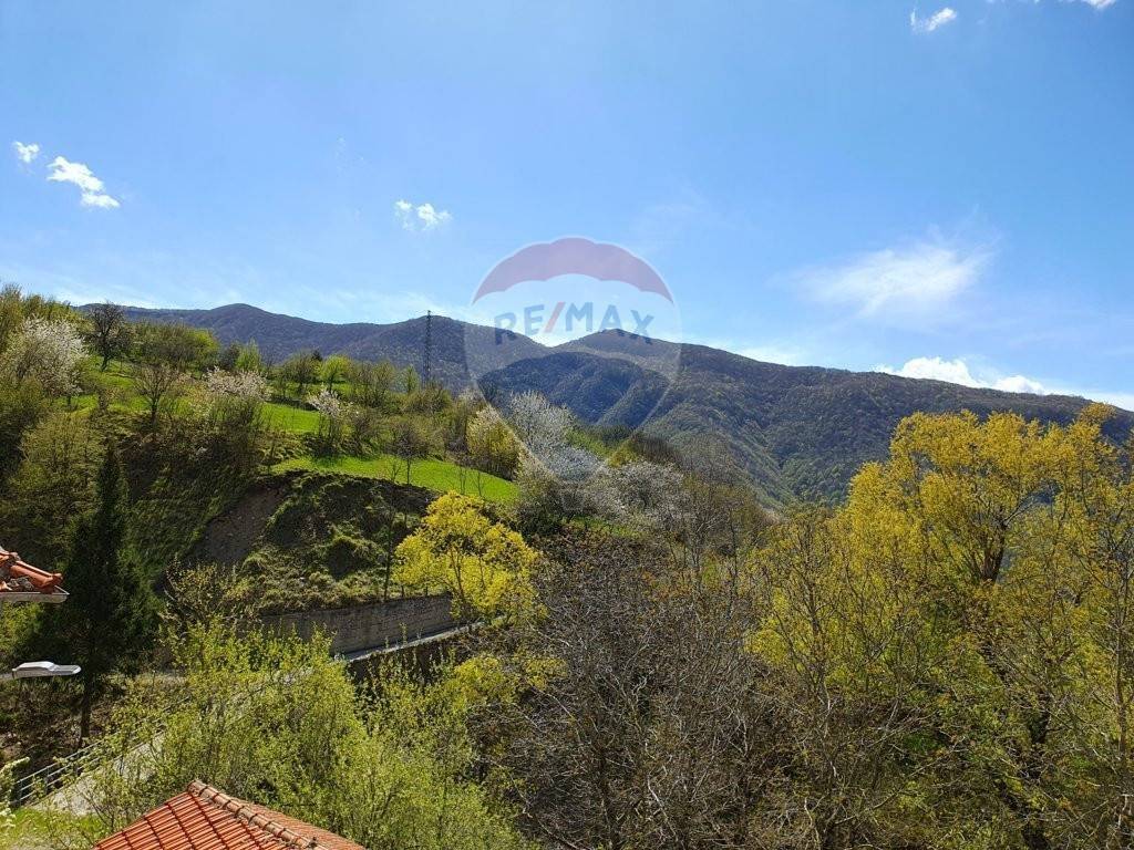 Sale Singlefamily detached house in Località Connio Carrega Ligure