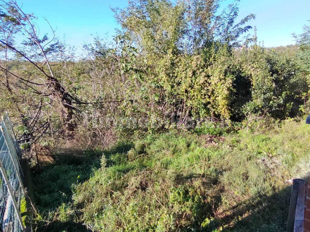 Terreno