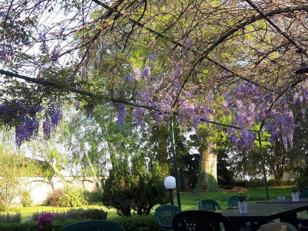 Pergola