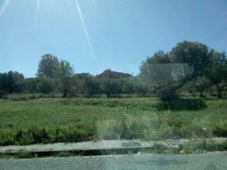 Foto 532667