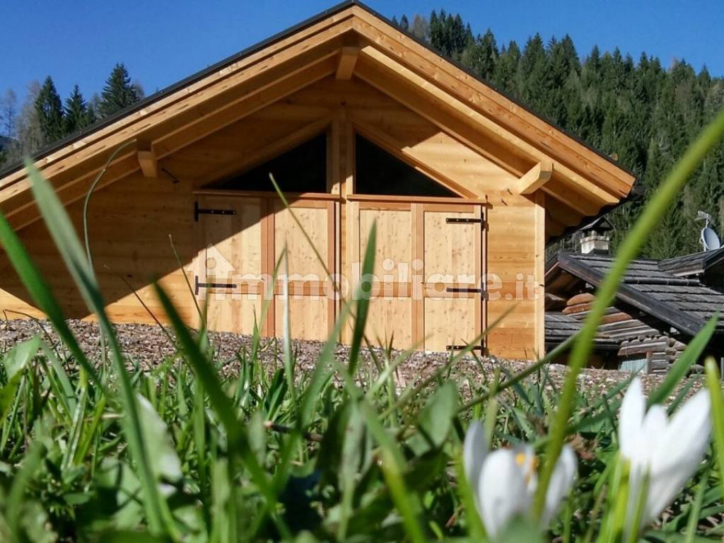 2 rustico chalet falcade nelle dolomiti