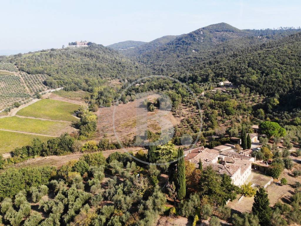 Chianti Classico, azienda agricola con agriturismo