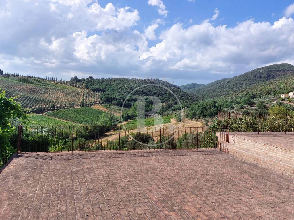 Chianti Classico, azienda agricola con agriturismo