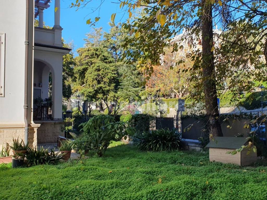 Giardino