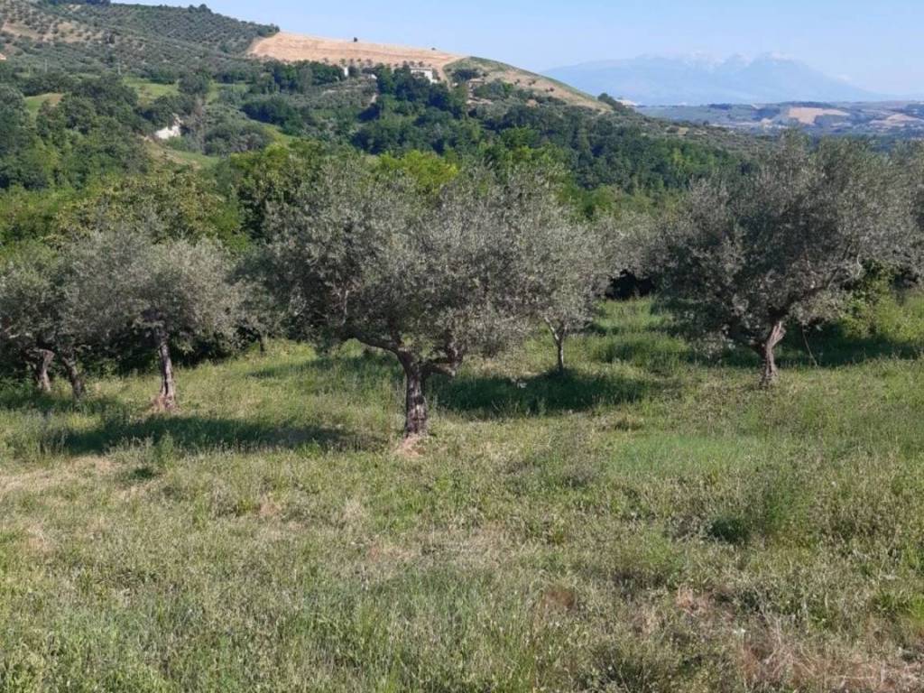 Terreno edificabile ss151, penne