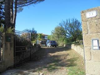 Zona