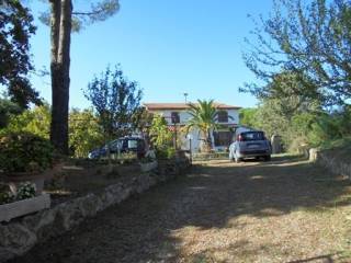 Zona