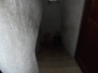 Altro
