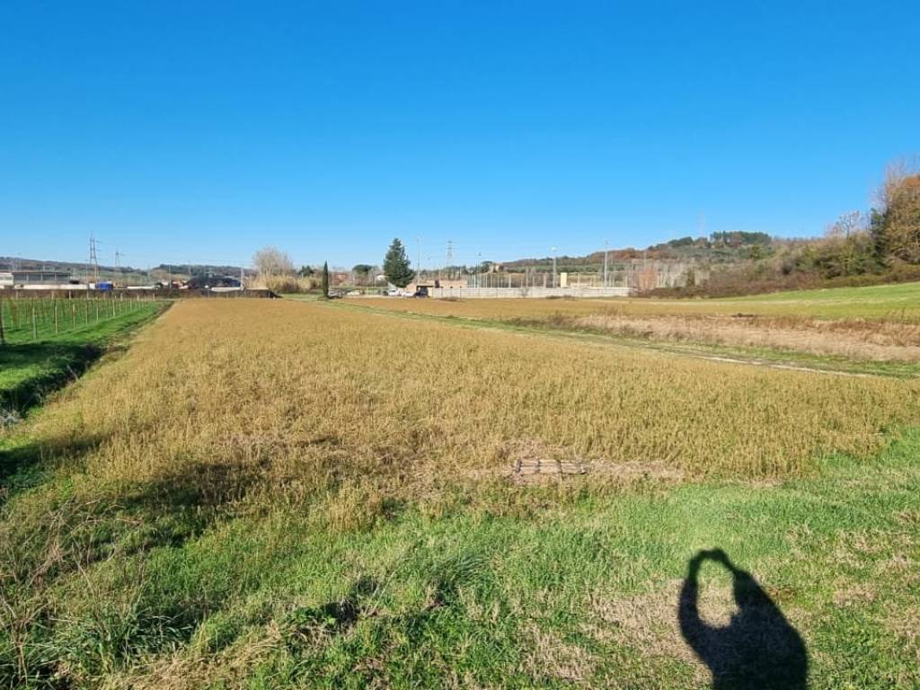 Terreno agricolo strada provinciale pian della tora, fauglia