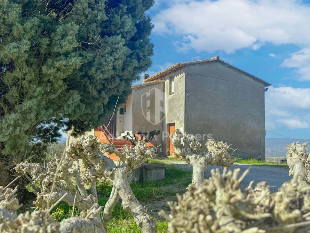 Il Casale del Pepe-06.jpg