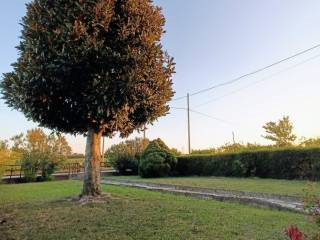 vendita-ville-case-singole-padova-rif-c10m-casa-singola-con-giardino-8yalebkb.jpg