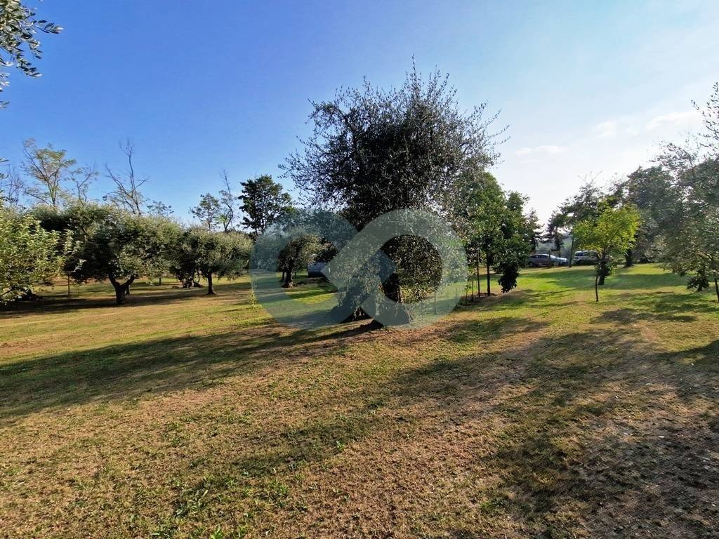 Terreno agricolo con capanno 11