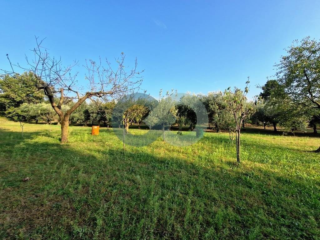 Terreno agricolo con capanno 12