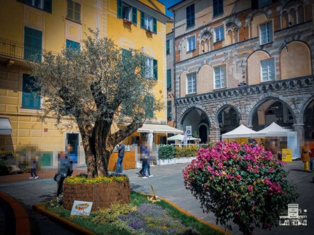 chiavari piazza fenice