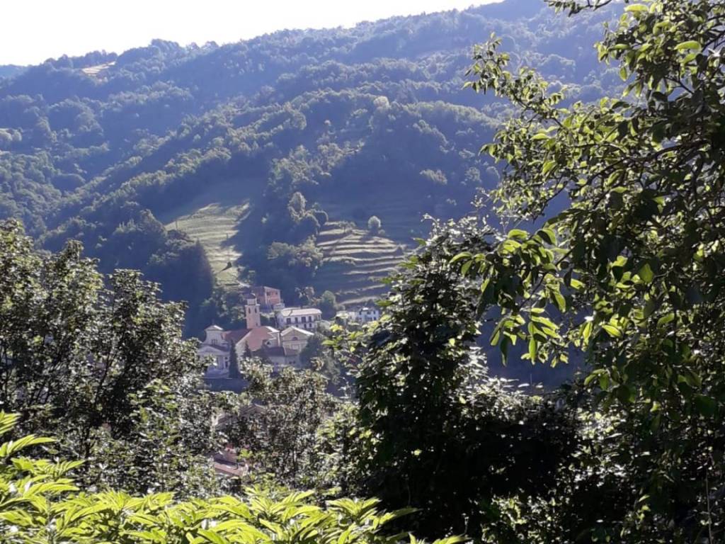 Terreno agricolo strada provinciale varese-cassego-malanotte, centro, varese ligure