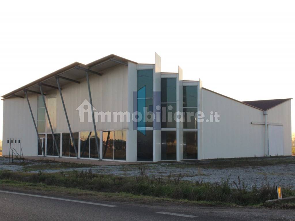 snapedit 1702918618265 watermark