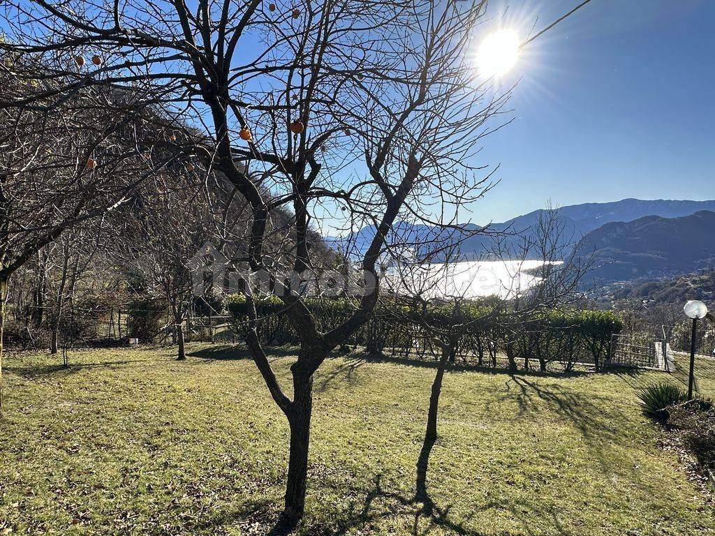 Lago Como Plesio loc. Breglia Casa con Giardino e Vista Lago rid-15