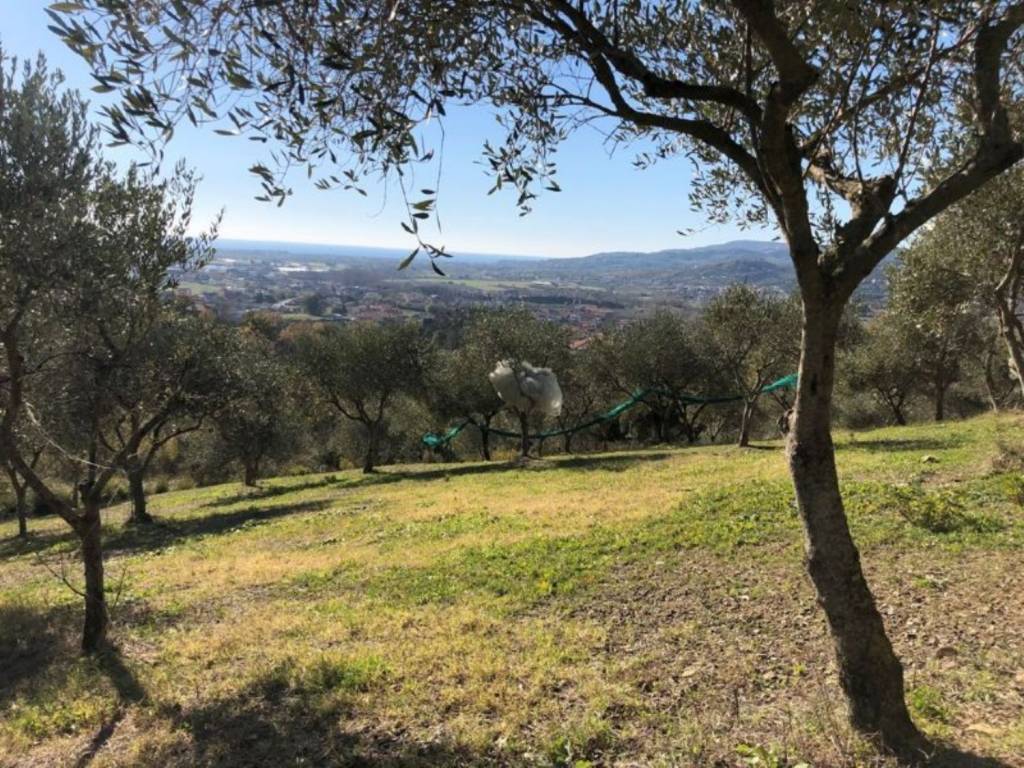 Terreno non edificabile complesso residenziale casal velino scalo, castelnuovo cilento