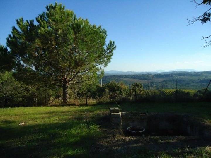 Terreno agricolo località ciuciano, san gimignano